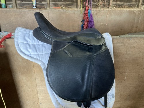 Thorowgood griffin black - 17",