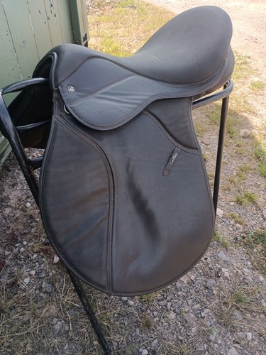Thorogood griffin black - 17,